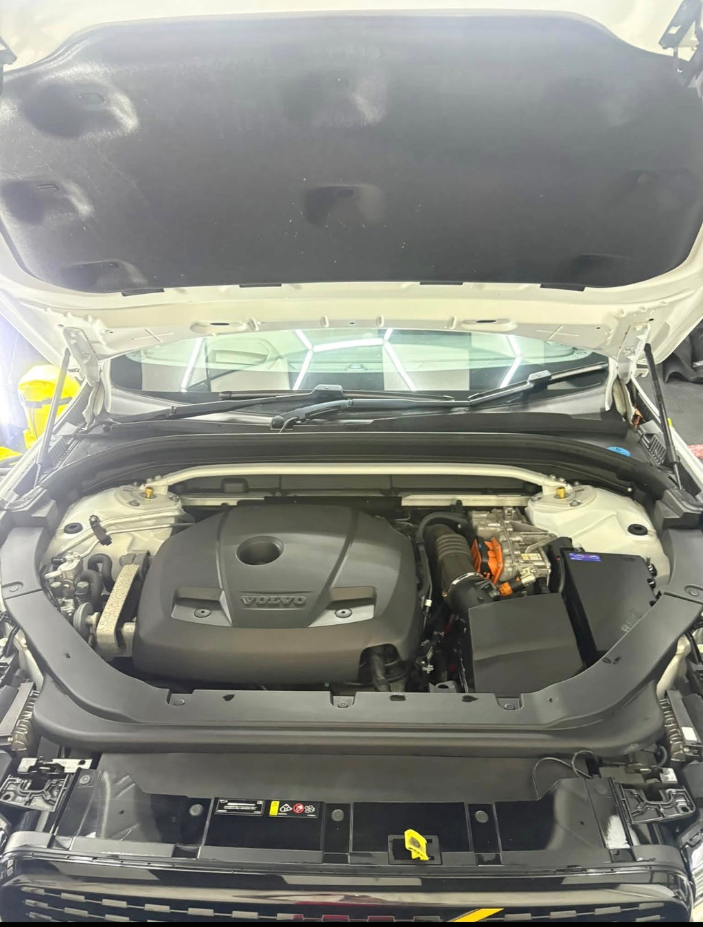Engine Bay Detail