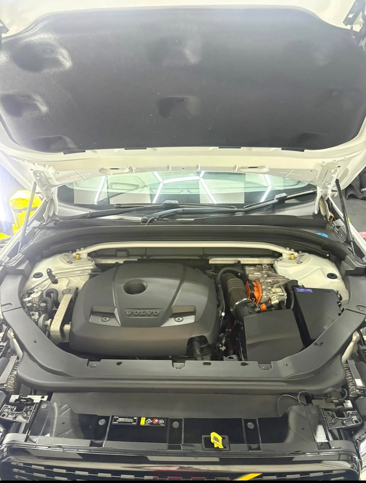 Engine Bay Detail
