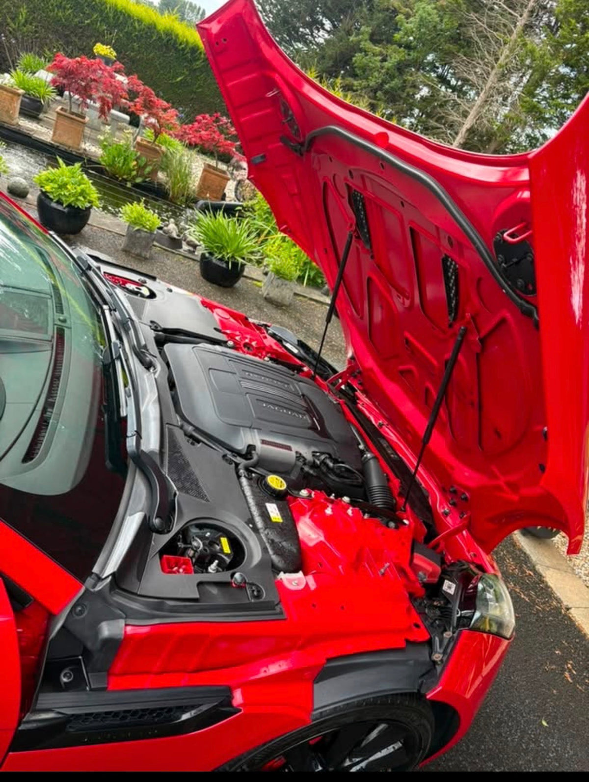 Engine Bay Detail